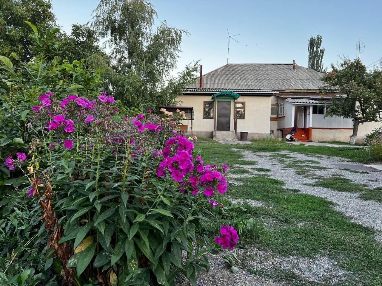 Bulak Hotel Karakol Ngoại thất bức ảnh
